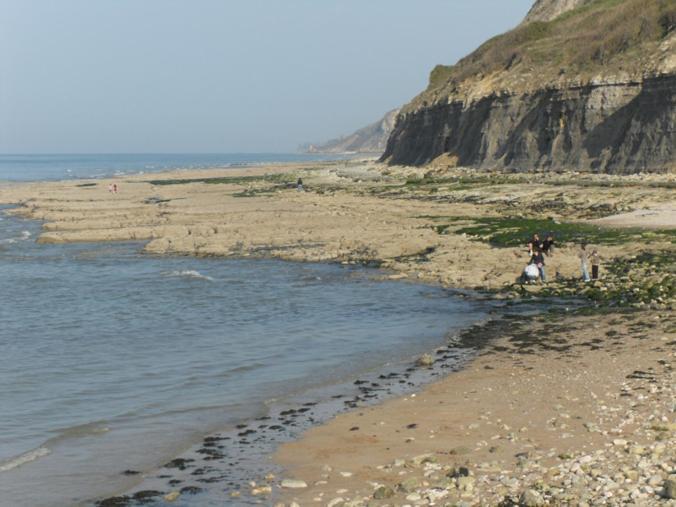 Gites De Mer Port-en-Bessin-Huppain Rum bild