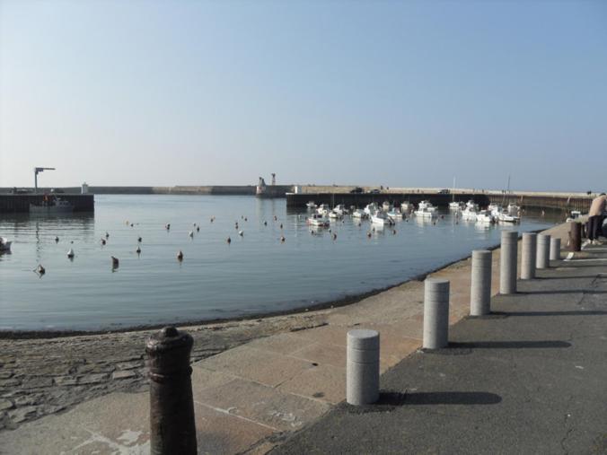 Gites De Mer Port-en-Bessin-Huppain Rum bild